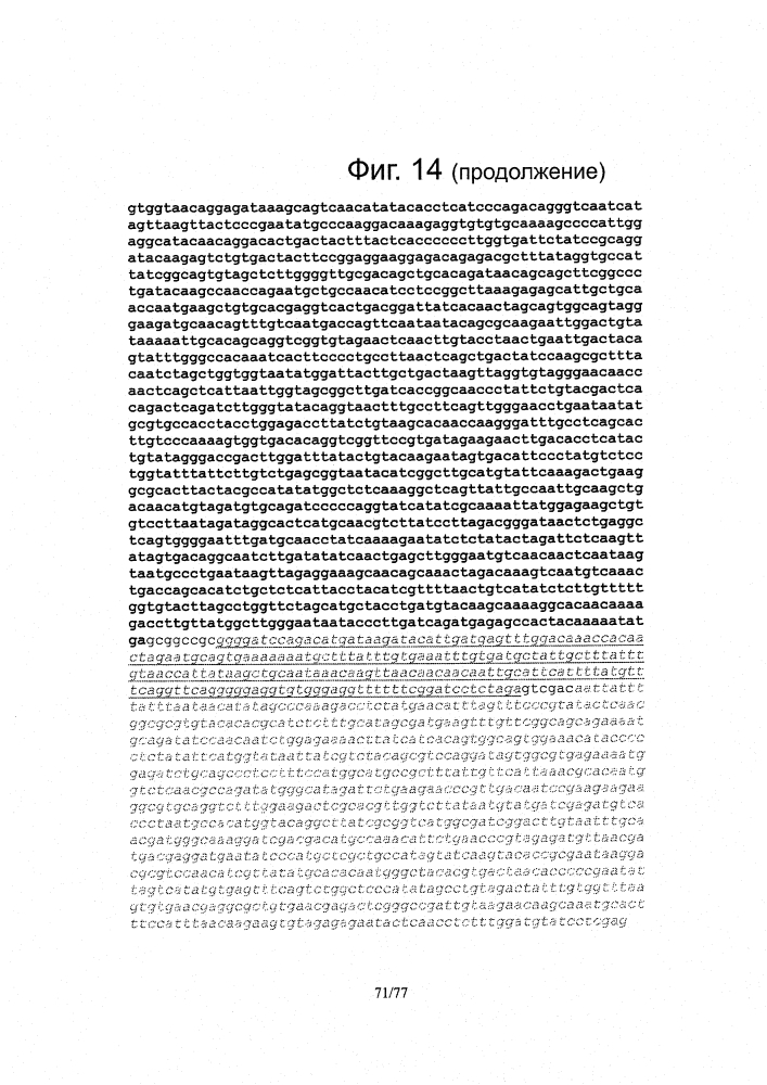 Рекомбинантные векторы hvt, экспрессирующие антигены патогенов птиц и их применение (патент 2620936)