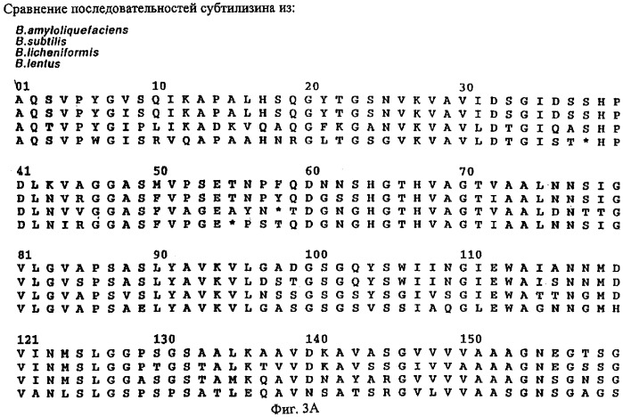 Варианты протеазы, замещенные в нескольких положениях (патент 2269572)