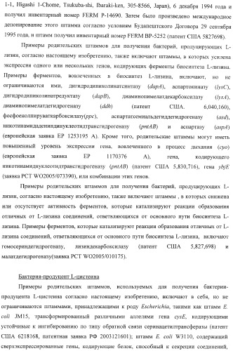 Способ продукции полезного метаболита (патент 2408731)