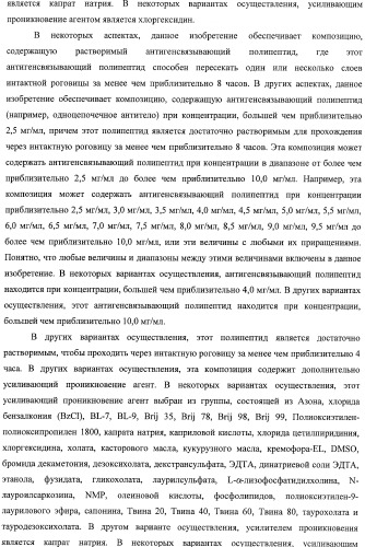 Scfv-антитела, которые проходят через эпителиальный и/или эндотелиальный слои (патент 2438708)