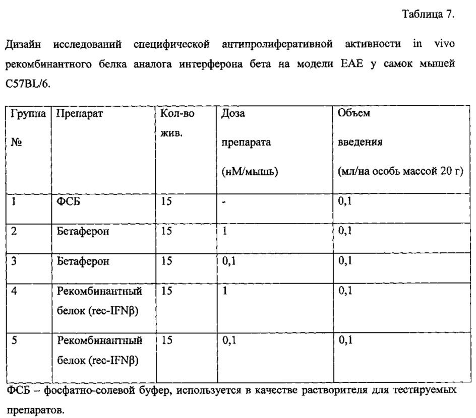 Оптимизированный ген, кодирующий рекомбинантный белок - аналог интерферона бета человека (патент 2614264)