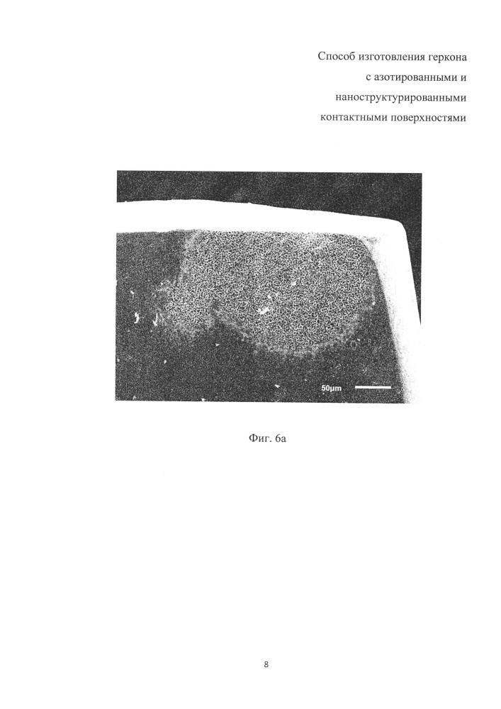 Способ изготовления геркона с азотированными и наноструктурированными контактными поверхностями (патент 2664506)
