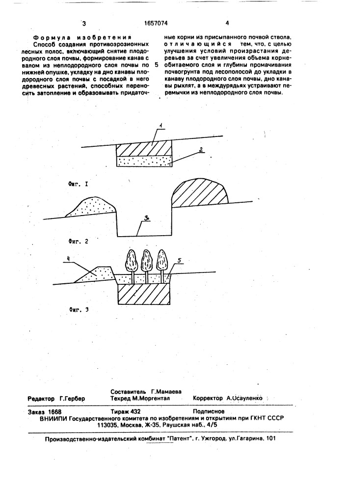 Способ создания противоэрозионных лесных полос (патент 1657074)