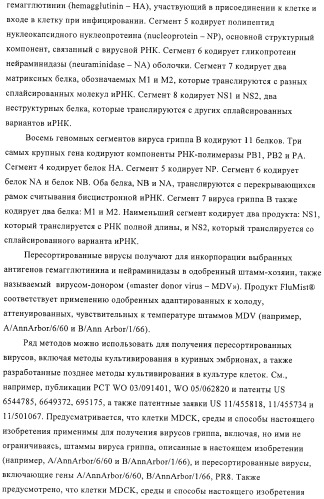Линии клеток почки собаки майдин-дэрби (mdck), поддерживающие рост вирусов до высоких титров, и способ применения этих клеток в биореакторе (патент 2487935)
