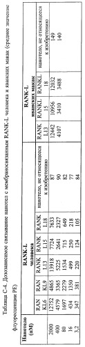 Аминокислотные последовательности, направленные на rank-l, и полипептиды, включающие их, для лечения заболеваний и нарушений костей (патент 2481355)