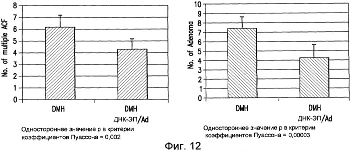 Слитый белок теломеразной обратной транскриптазы, кодирующие его нуклеотиды и их применение (патент 2473691)