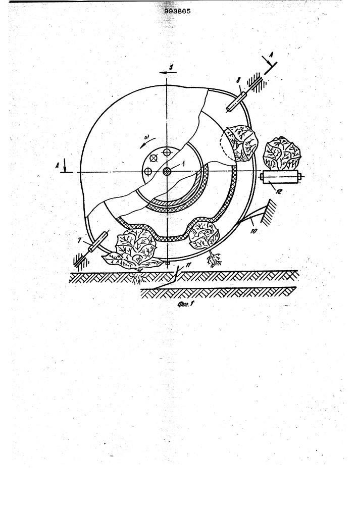 Теребильный аппарат для уборки капусты (патент 993865)