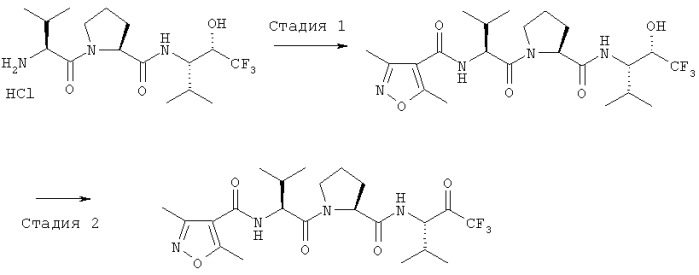 Гетероциклические соединения с эластазоингибирующей активностью и их производные, а также фармацевтическая композиция и средство на их основе (патент 2319708)