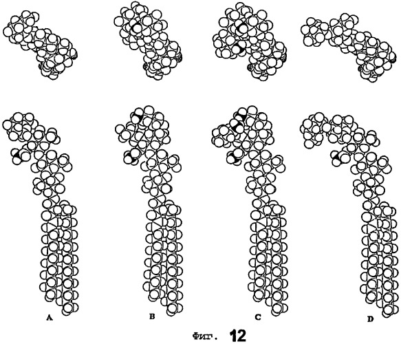 Новые вещества, связывающиеся с helicobacter pylori, и их применение (патент 2283115)