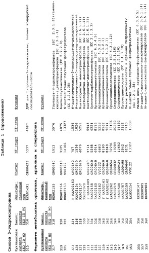 Гены corynebacterium glutamicum, кодирующие белки метаболических путей (патент 2306339)
