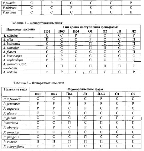 Способ прогноза перспективности сосновых в условиях культуры ex situ (патент 2552955)