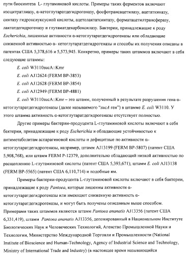 Способ получения l-аминокислот с использованием бактерии, принадлежащей к роду escherichia (патент 2312893)