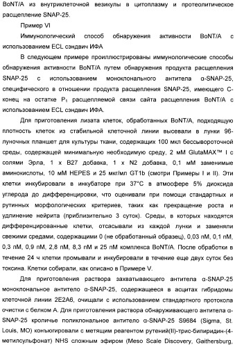 Иммунологические анализы активности ботулинического токсина серотипа а (патент 2491293)