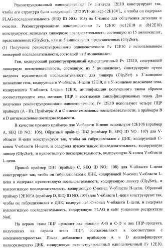 Днк, кодирующая модифицированное антитело или соединение с активностью агониста тро, способ их получения и животная клетка или микроорганизм, их продуцирующие (патент 2422528)