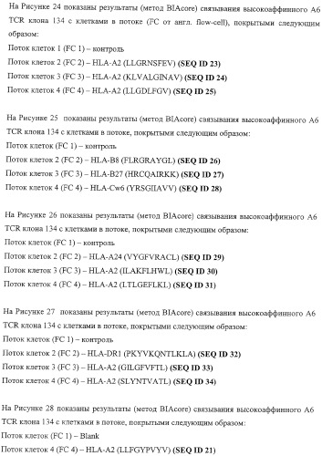 Экспонирование т-клеточных рецепторов (патент 2346004)