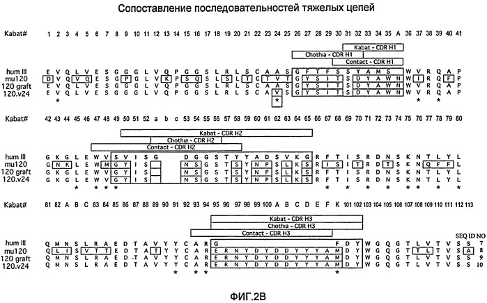 Антитела и иммуноконъюгаты и их применение (патент 2483080)