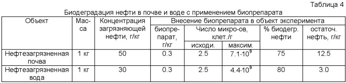 Биопрепарат для очистки почвы и воды от нефти и нефтепродуктов (патент 2361686)