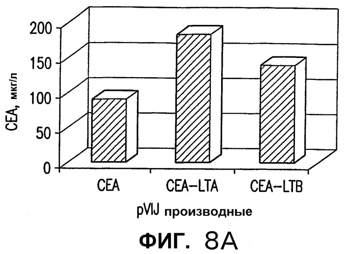 Слитые белки карциноэмбрионального антигена (патент 2380375)