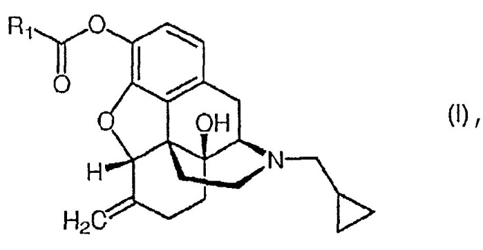 Пролекарства налмефена (патент 2495042)