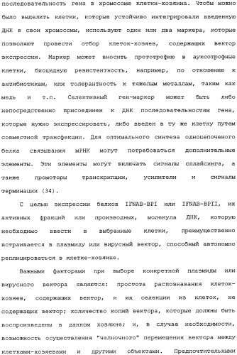 Белок ifnab-bpi, его предшественник, молекула днк, экспрессирующий вектор, способ продуцирования, фармацевтическая композиция для ингибирования активности ifn-  или ifn-  (патент 2336279)