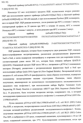 Способ получения фактора, связанного с контролем над потреблением пищи и/или массой тела, полипептид, обладающий активностью подавления потребления пищи и/или прибавления в весе, молекула нуклеиновой кислоты, кодирующая полипептид, способы и применение полипептида (патент 2418002)