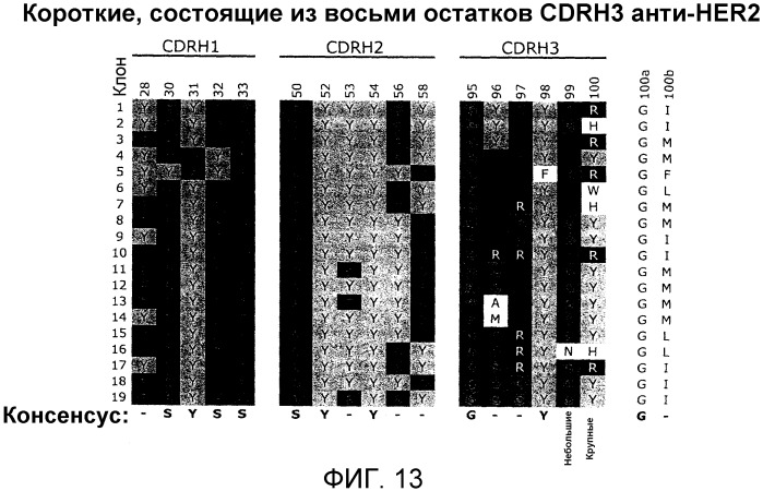 Связывающие полипептиды и их применения (патент 2470941)