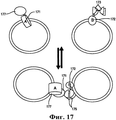 Идентификация молекул, модулирующих белок-белковое взаимодействие (патент 2476891)