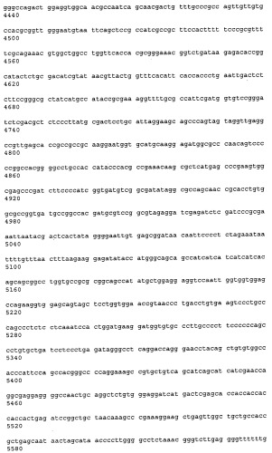 Антитела к рецептору конечных продуктов глубокого гликирования (rage) и их применения (патент 2518351)
