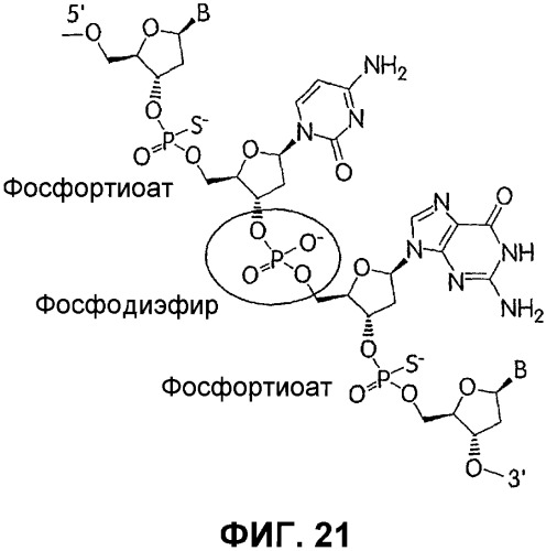 Иммуностимулирующие фосфортиоатные cpg-олигонуклеотиды, содержащие фосфодиэфирные связи, способ иммуномодуляции, способ стимулирования иммунного ответа (патент 2338750)