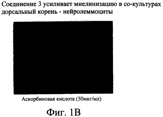 Производные пентадикарбоновой кислоты, фармацевтическая композиция на их основе и способы лечения (патент 2268881)