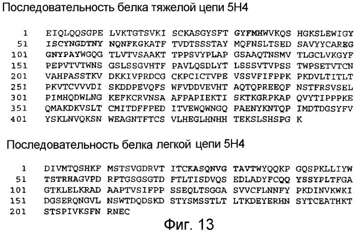 Не мышиное анти-m-csf-антитело (варианты), его получение и использование (патент 2401277)