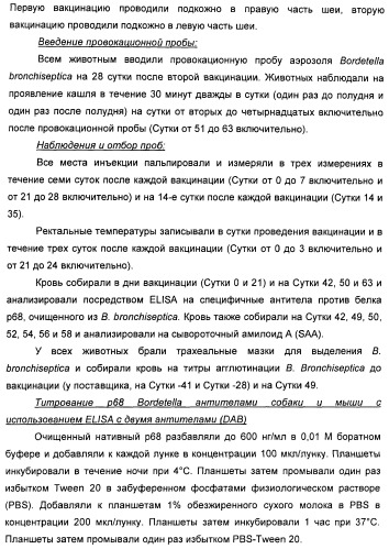 Поливалентные вакцины для собак против leptospira bratislava и других патогенов (патент 2400248)