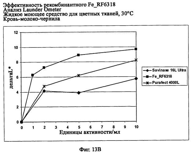 Новая протеаза грибов и ее применение (патент 2566549)