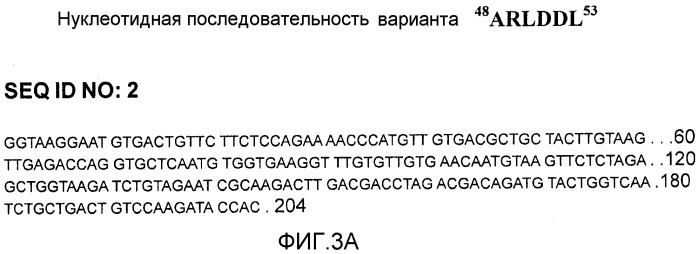 Полипептиды, селективные в отношении интегрина αvβ3, конъюгированные с вариантом челевеческого сывороточного альбумина (hsa), и их фармацевтические применения (патент 2547592)