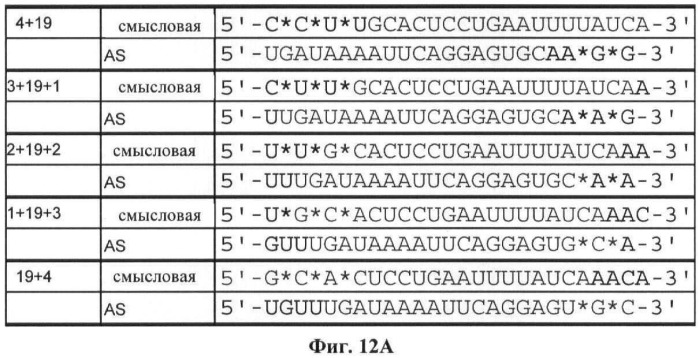 Новые структуры малых интерферирующих рнк (sirna) (патент 2487716)