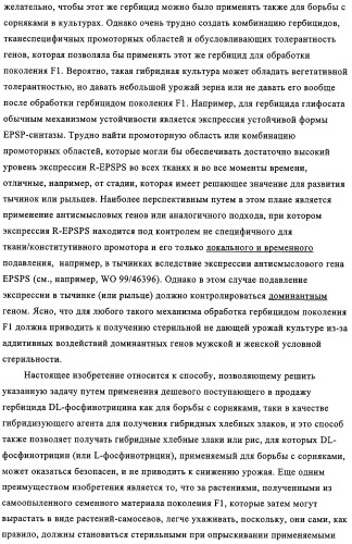 Способ избирательного получения растений с мужской или женской стерильностью (патент 2320722)