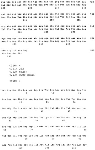 Нуклеиновые кислоты, кодирующие рецептор ctla-4 кошки, вектор, клетки-хозяева, вакцины, олигонуклеотиды, полипептиды ctla-4 кошки и способы индукции и подавления иммунного ответа у кошки (патент 2377302)