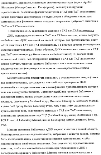 Композиции и способы диагностики и лечения опухоли (патент 2430112)