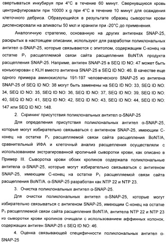 Иммунологические анализы активности ботулинического токсина серотипа а (патент 2491293)