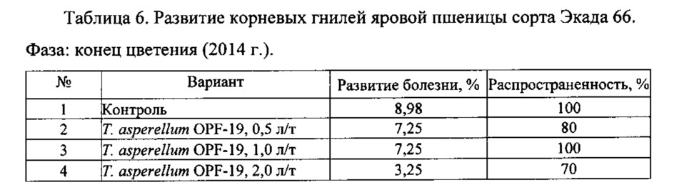 Штамм гриба trichoderma asperellum для получения биопрепарата комплексного действия для растениеводства (патент 2634415)