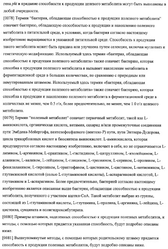 Использование фосфокетолазы для продукции полезных метаболитов (патент 2322496)