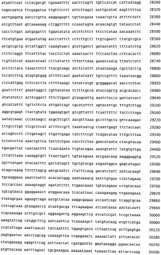 Бактериофаг, обладающий активностью против pseudomonas aeruginosa, белки бактериофага и способы их применения (патент 2580248)