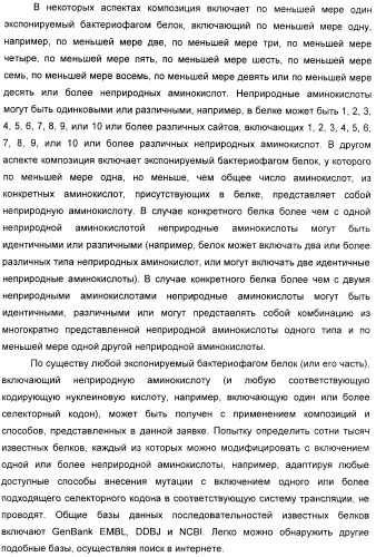 Селективная посттрансляционная модификация экспонируемых фагами полипептидов (патент 2459866)