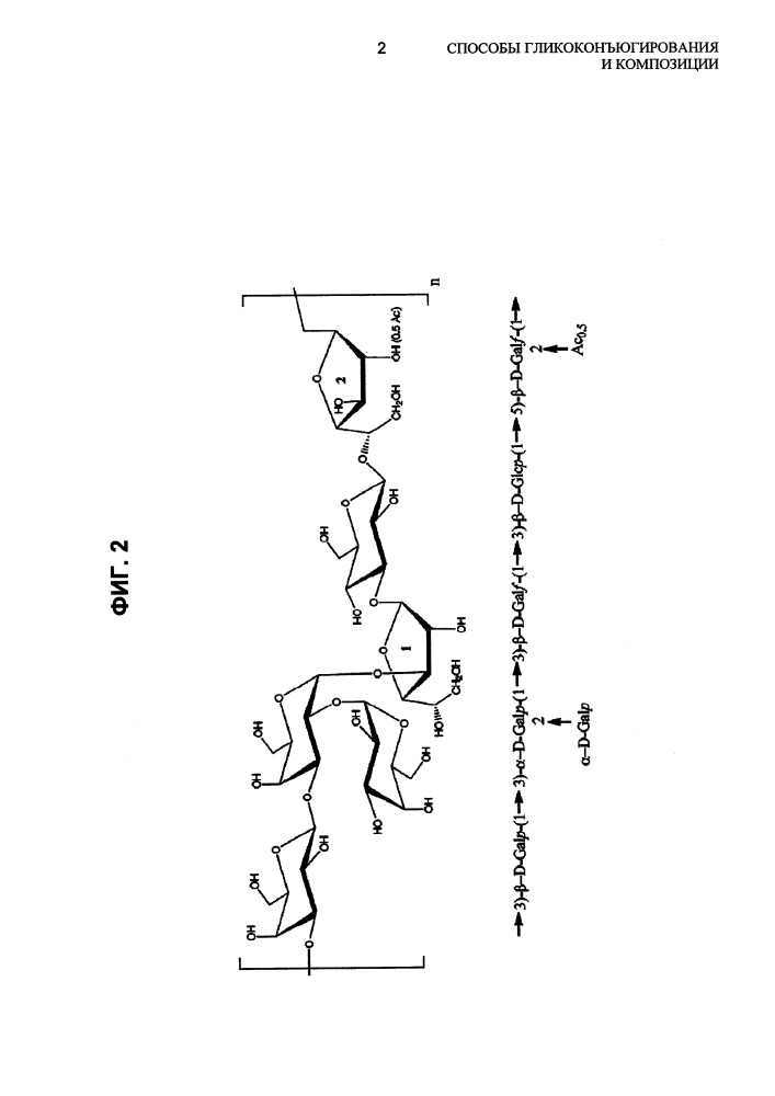 Способы гликоконъюгирования и композиции (патент 2645071)
