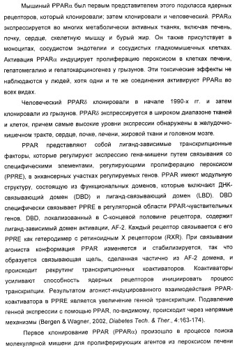 Соединения, активные в отношении ppar (рецепторов активаторов пролиферации пероксисом) (патент 2419618)