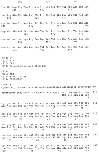 Гены corynebacterium glutamicum, кодирующие белки резистентности и толерантности к стрессам (патент 2303635)