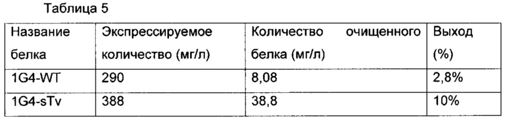 Высокостабильный т-клеточный рецептор и способ его получения и применения (патент 2645256)