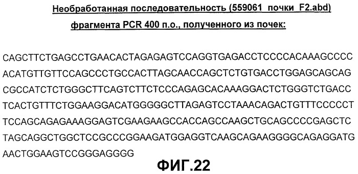 Композиции, реагенты, наборы и способы для диагностики, мониторинга и лечения ожирения и/или диабета (патент 2420583)