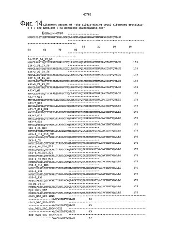 Клонирование и использование функционального r-гена из solanum chacoense (патент 2586509)