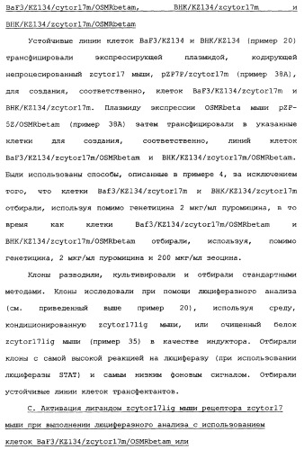 Новый лиганд рецептора цитокина zcytor17 (патент 2360923)